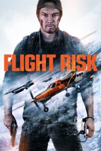 Flight Risk 2025 Online Subtitrat